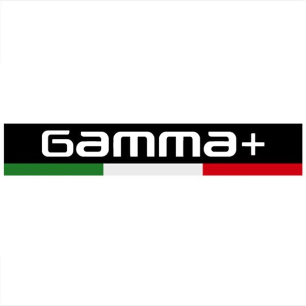 Gamma+